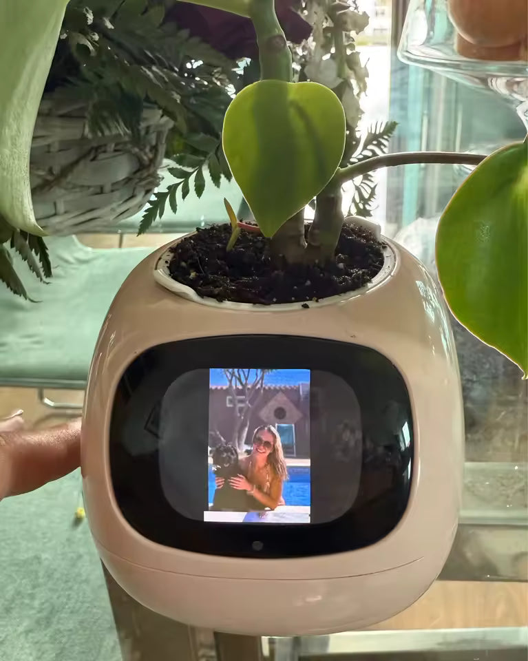 Maceta Inteligente con IA | Jardín Inteligente con App para el Cuidado de Plantas