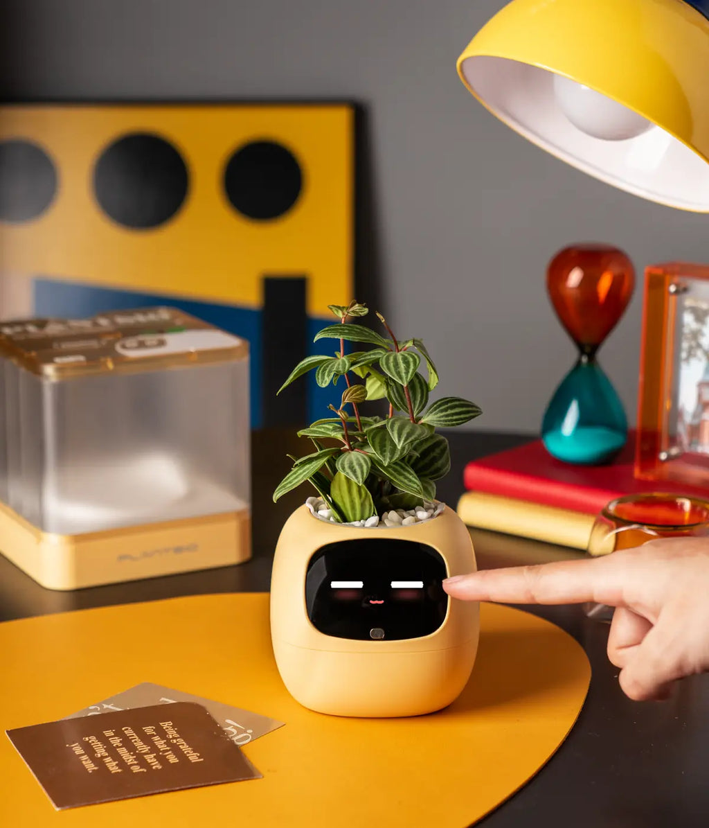 Maceta Inteligente con IA | Jardín Inteligente con App para el Cuidado de Plantas