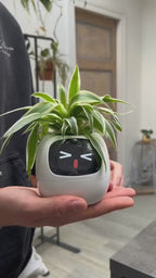 Maceta Inteligente con IA | Jardín Inteligente con App para el Cuidado de Plantas